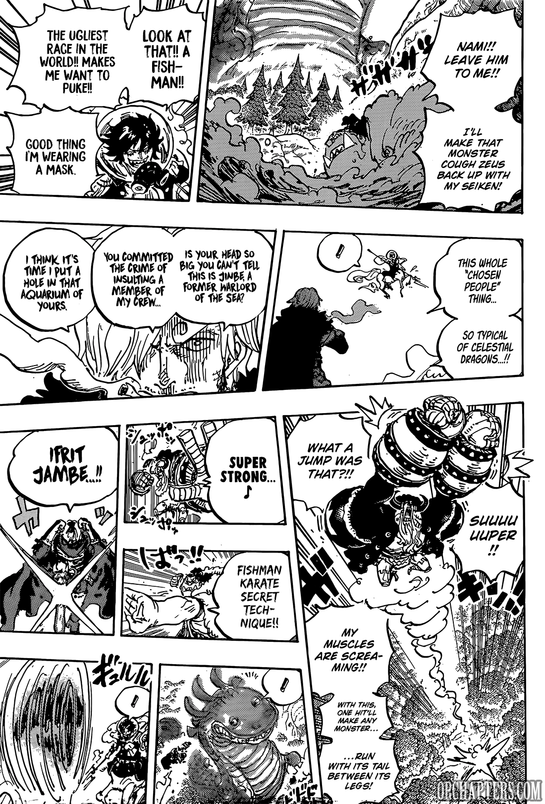 One Piece, Chapter 1176 image 10